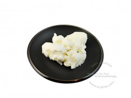 Aloe Vera Butter 蘆薈油脂