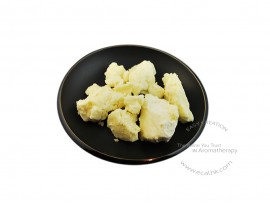 Cocoa Butter Organic Refined 可可油脂 (有機)