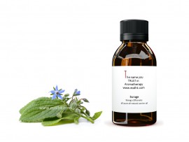 Borage Oil Refined 琉璃苣油 (精製)