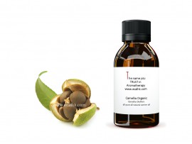 Camellia Oil Refined 茶花籽油精煉 | 金花油精煉