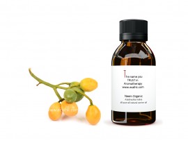 Neem Wild Oil 野生苦楝油 | 寧樹油