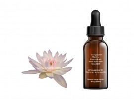 Lotus Absolute Essential Oil Dilution in Jojoba 莲花精油 (白莲花稀释荷荷芭油)