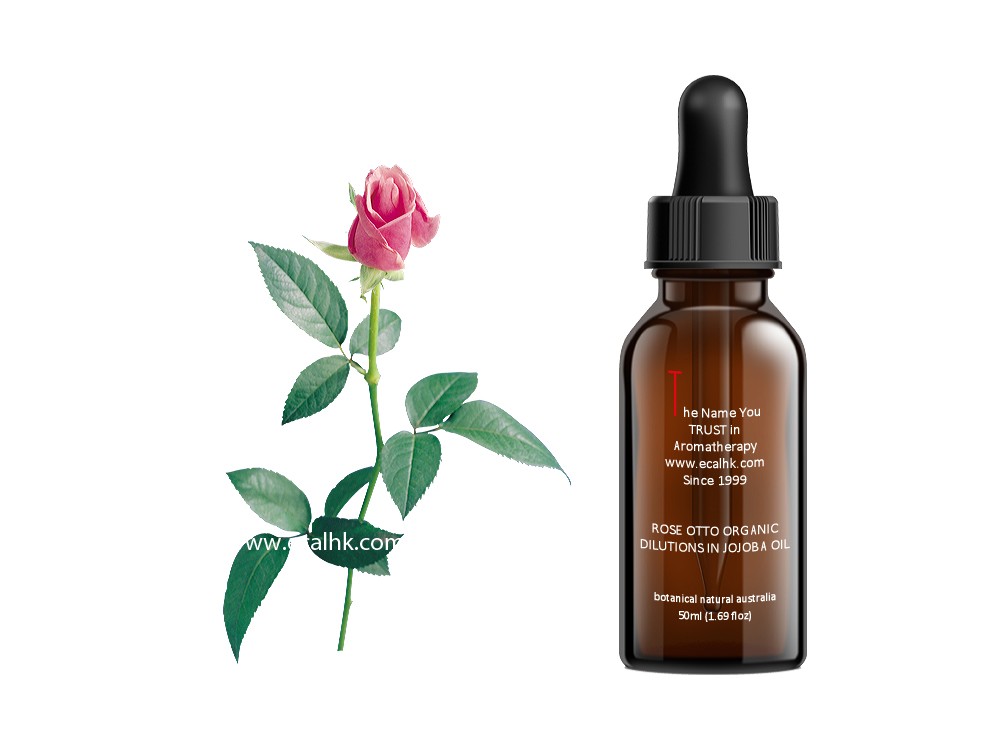 https://www.ecalhk.com/image/catalog/product_ej/ej_rose_otto.jpg