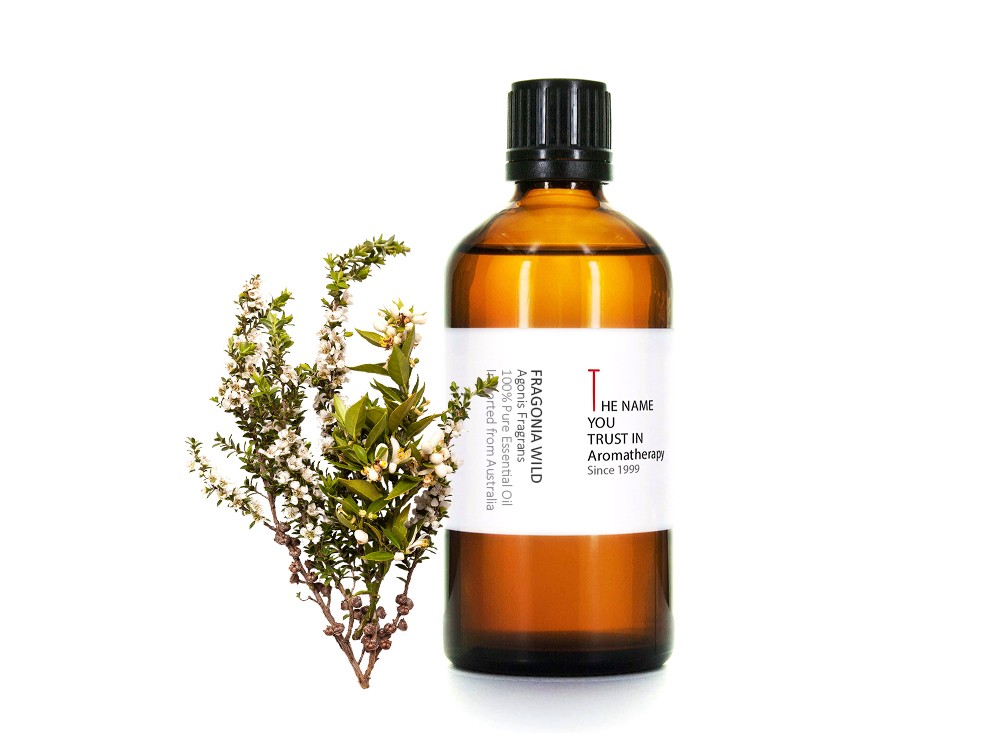 Fragonia Essential Oil Wild 芳枸精油 (野生)