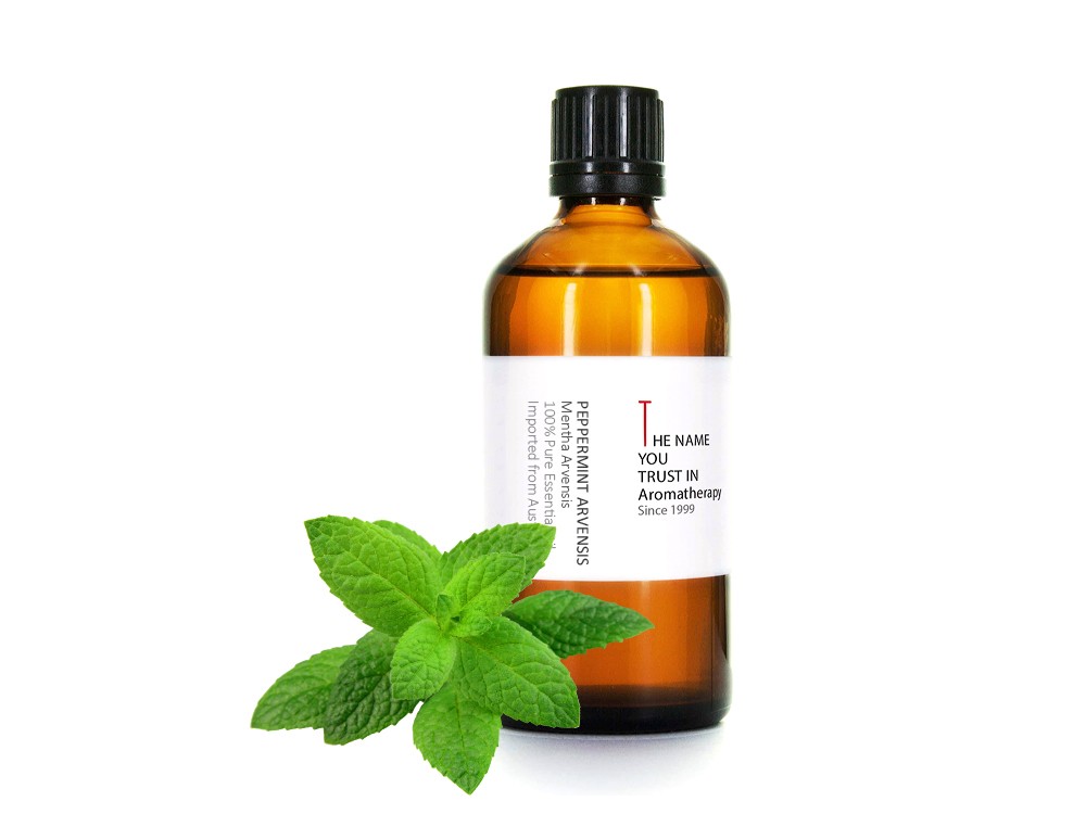 薄荷精油
