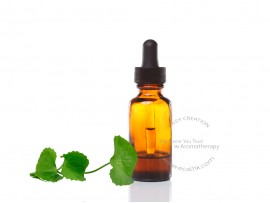 Gotu Kola Extract Liquid 雷公根萃取液