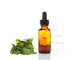 Seaweed Extract Liquid 海藻萃取液