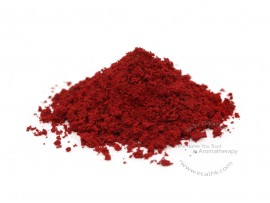 Cranberry Extract Powder 蔓越莓子萃取粉末