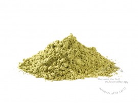 Cucumber Extract Powder 青瓜萃取粉末