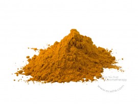 Kola Nut Extract Powder 可樂果萃取粉末