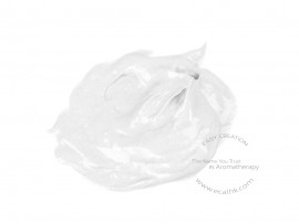 Titanium Dioxide Paste 微粒化二氧化鈦膏