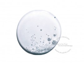 Castile Liquid Soap Unscented 溫和橄欖皂液